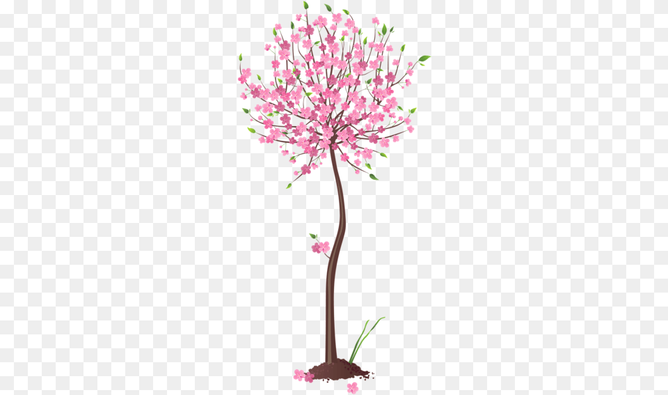 Spring Pink Tree Clipart Spring Tree Clipart, Flower, Plant, Cherry Blossom Png Image