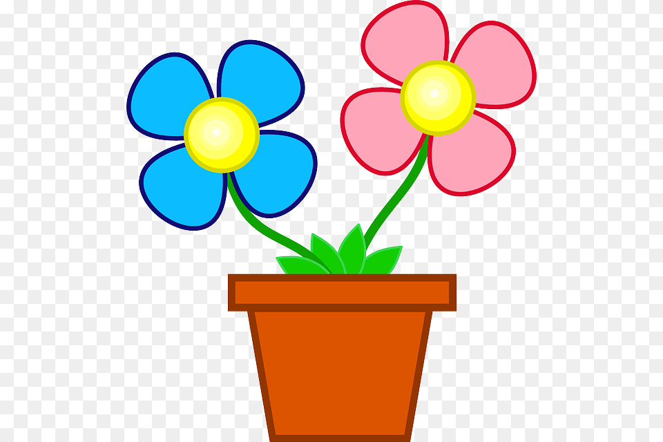 Spring Plant Sale, Potted Plant, Daisy, Flower, Petal Png Image