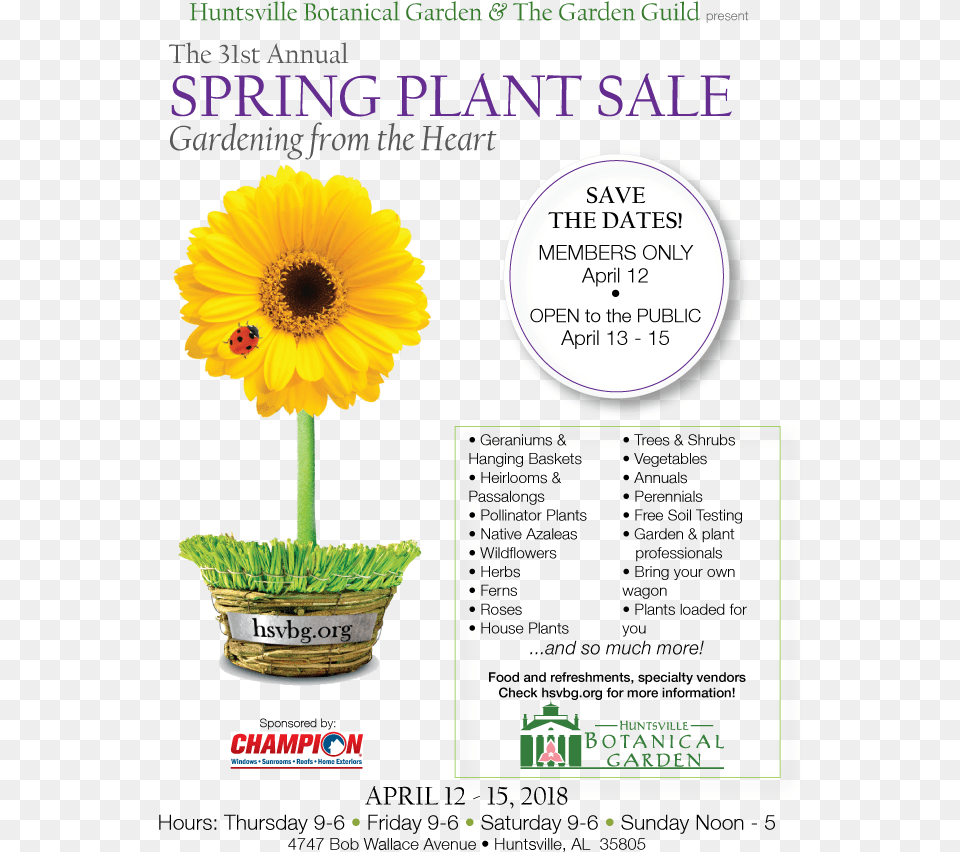 Spring Plant Sale Website Sunflower, Daisy, Flower, Book, Petal Free Png Download