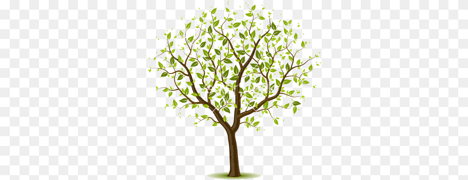 Spring Ps 211 Elm Tree Elementary Tree, Leaf, Plant, Potted Plant, Flower Free Transparent Png