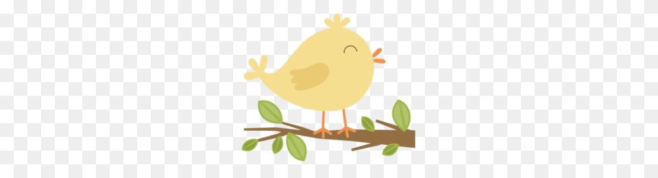 Spring Robin Bird Clipart, Animal, Baby, Person Free Png Download