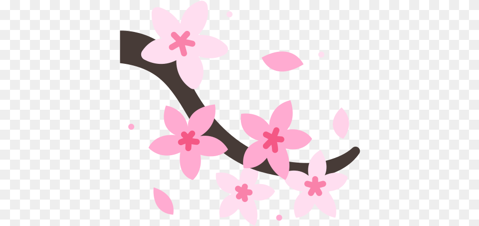 Spring Sakura Flower Blossom Floral Sakura Flat, Plant, Cherry Blossom, Animal, Kangaroo Png Image