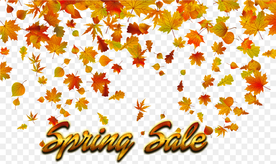 Spring Sale Background Fall Leaves Transparent Background, Leaf, Plant, Tree, Maple Png Image