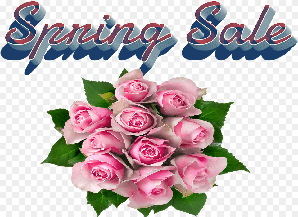 Spring Sale File Rose Bouquet Transparent Background, Flower, Flower Arrangement, Flower Bouquet, Plant Png Image