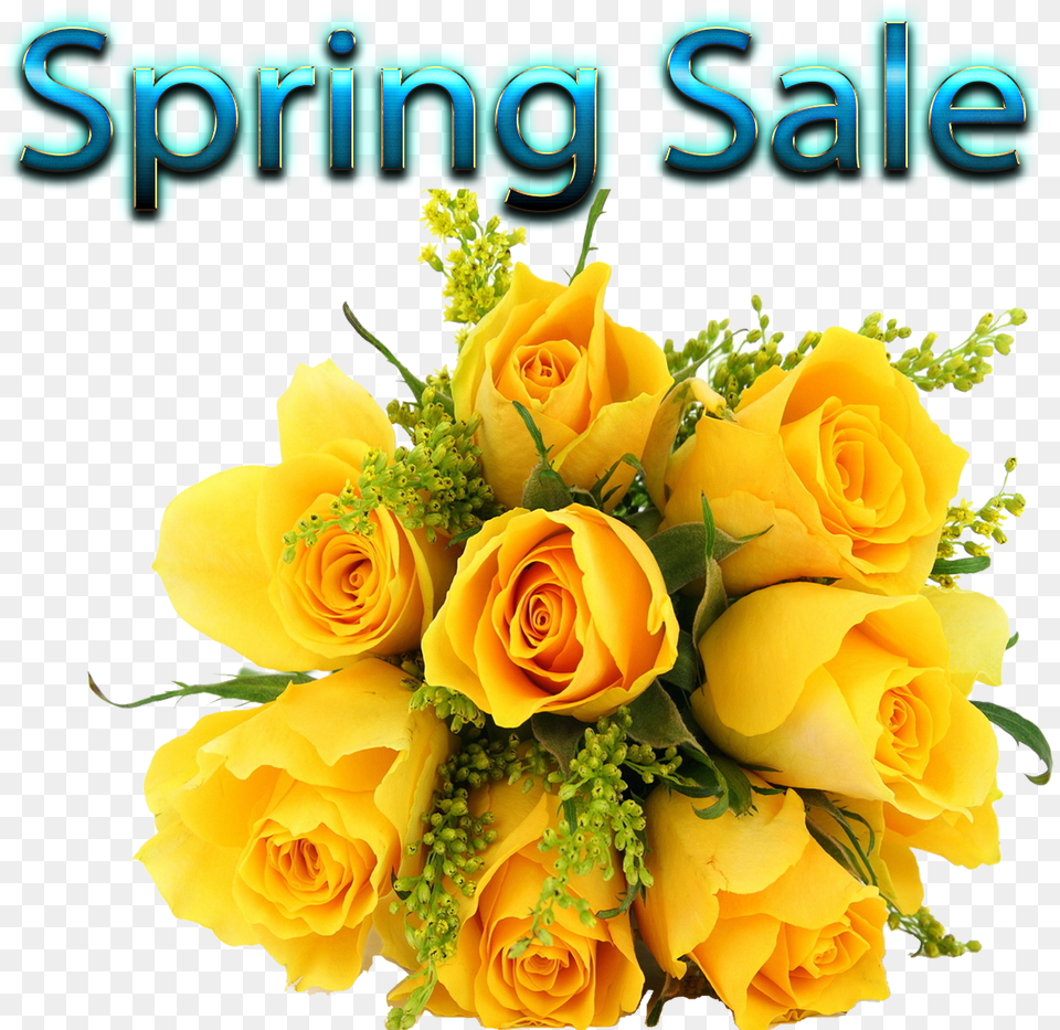 Spring Sale Images Birthday Wishes Greetings In Telugu, Art, Flower, Flower Arrangement, Flower Bouquet Free Png