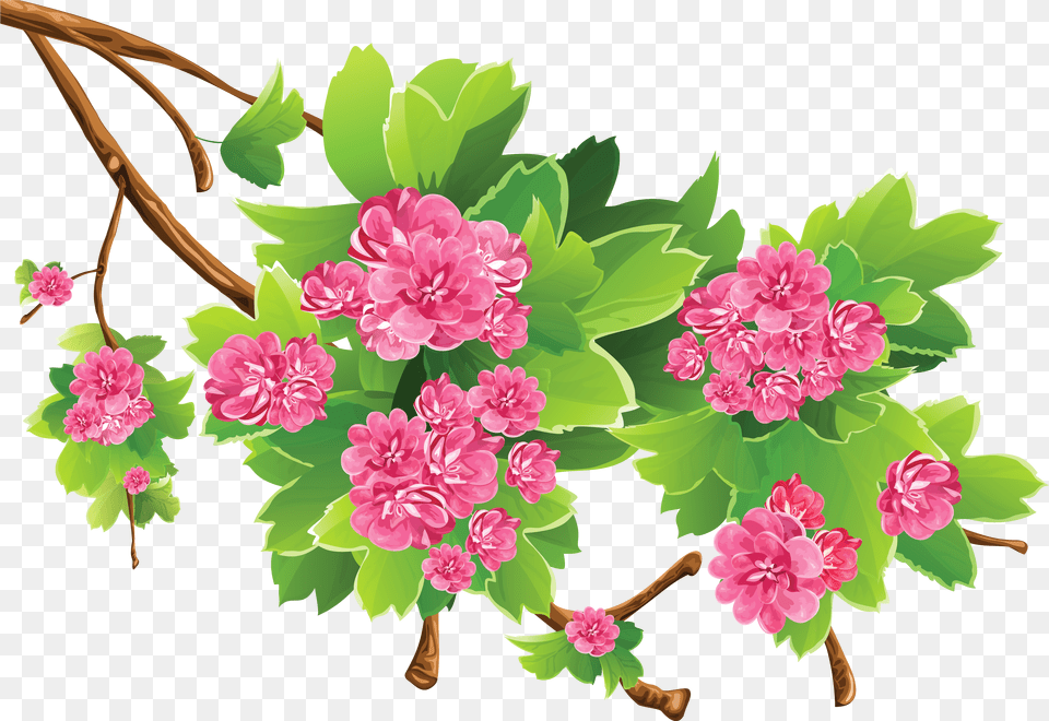 Spring Season Clipart Clip Art Transparent Spring Flowers, Flower, Geranium, Plant, Carnation Free Png