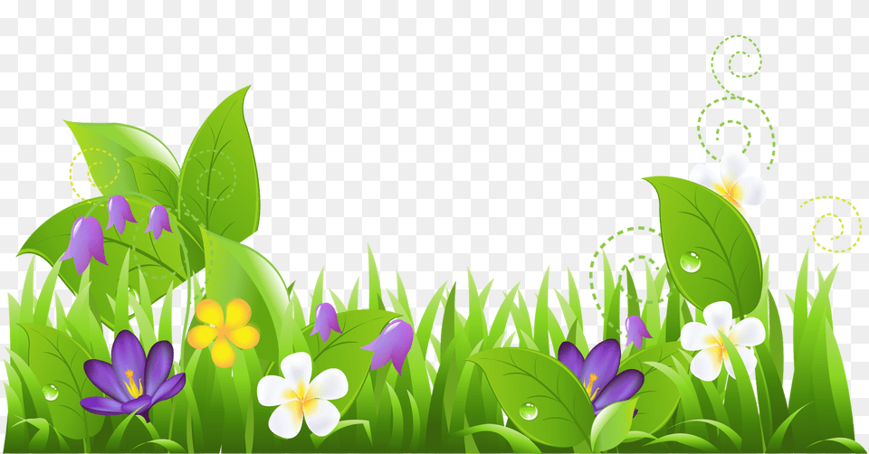 Spring Season Transparent Flower Clipart, Plant, Art, Floral Design, Graphics Png