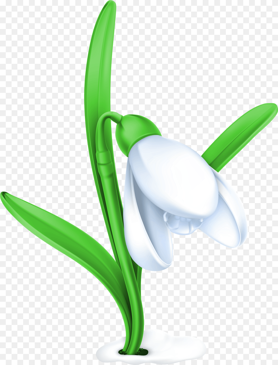 Spring Snowdrop Clipart, Amaryllidaceae, Flower, Plant Free Png Download
