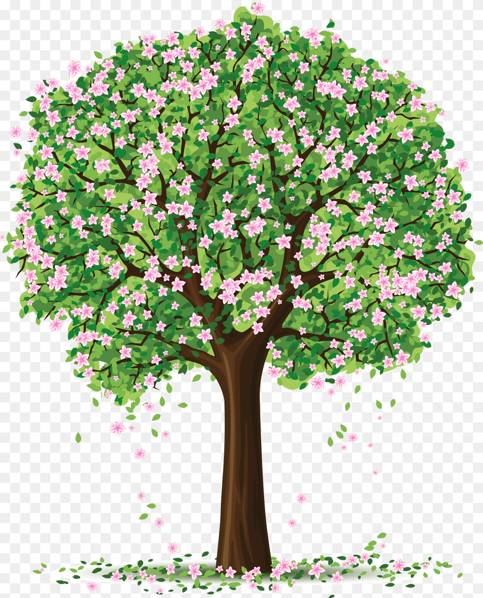 Spring Tree, Plant, Flower, Vegetation, Oak Png Image