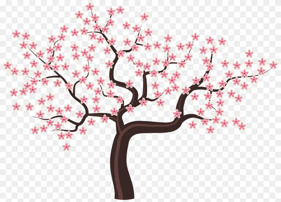 Spring Tree Clipart, Flower, Plant, Cherry Blossom Free Png Download