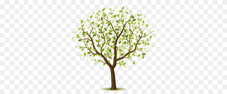 Spring Tree Vector Divided Dividers, Plant, Art, Painting, Oak Png