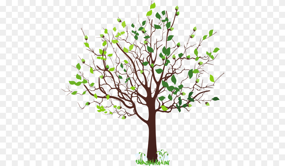 Spring Tree With Snowdrops Clipart Picture Spring Tree Clipart, Plant, Potted Plant, Oak, Sycamore Free Png Download