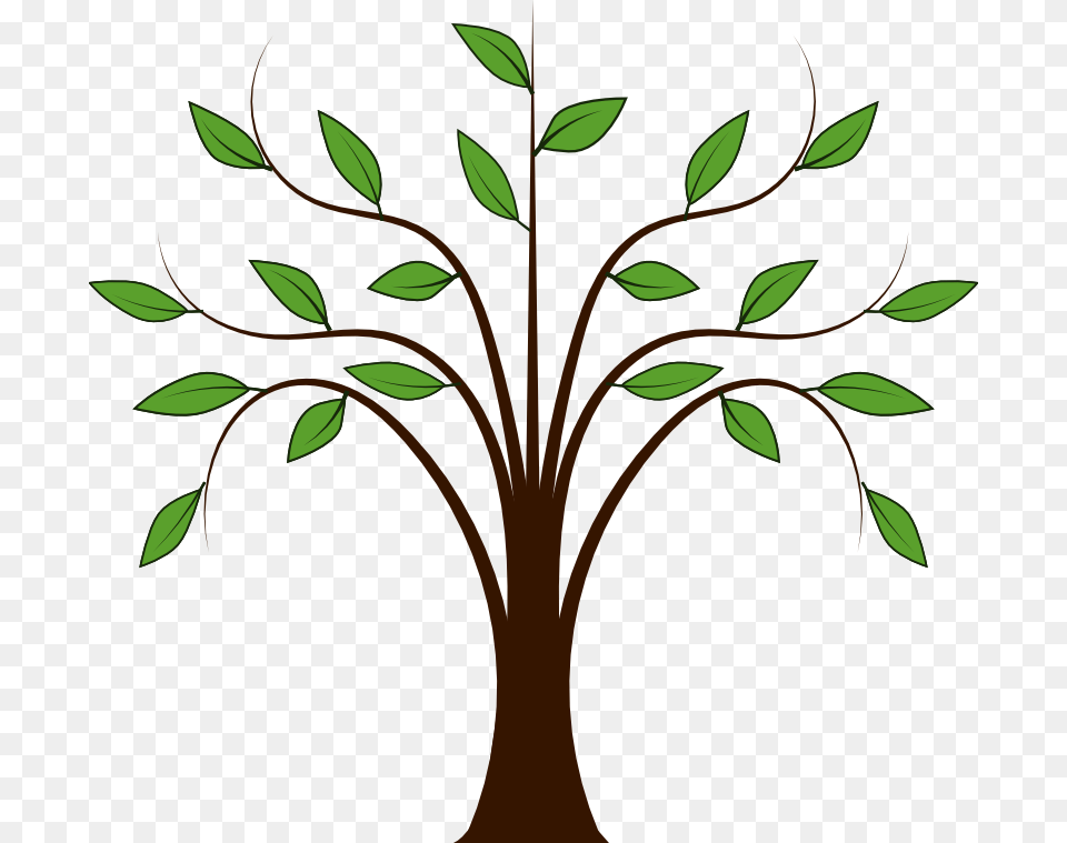 Spring Trees Clipart Trees In Clip Art Art, Graphics, Herbal, Herbs, Leaf Png Image