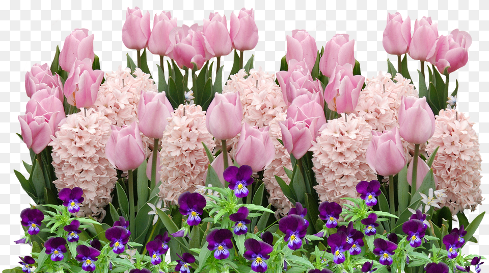 Spring Tulips Easter Flower Flowers Flowerspring, Flower Arrangement, Flower Bouquet, Petal, Plant Free Transparent Png