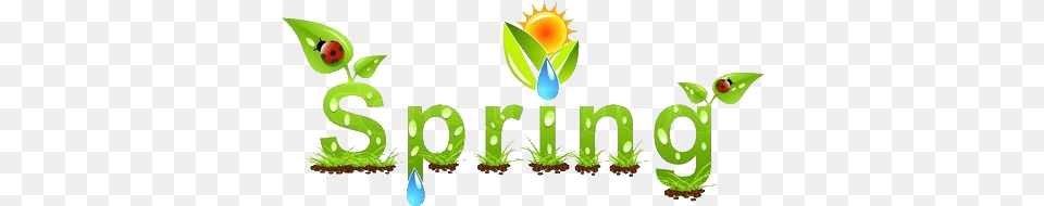 Spring Vector, Green, Leaf, Plant, Moss Free Png Download