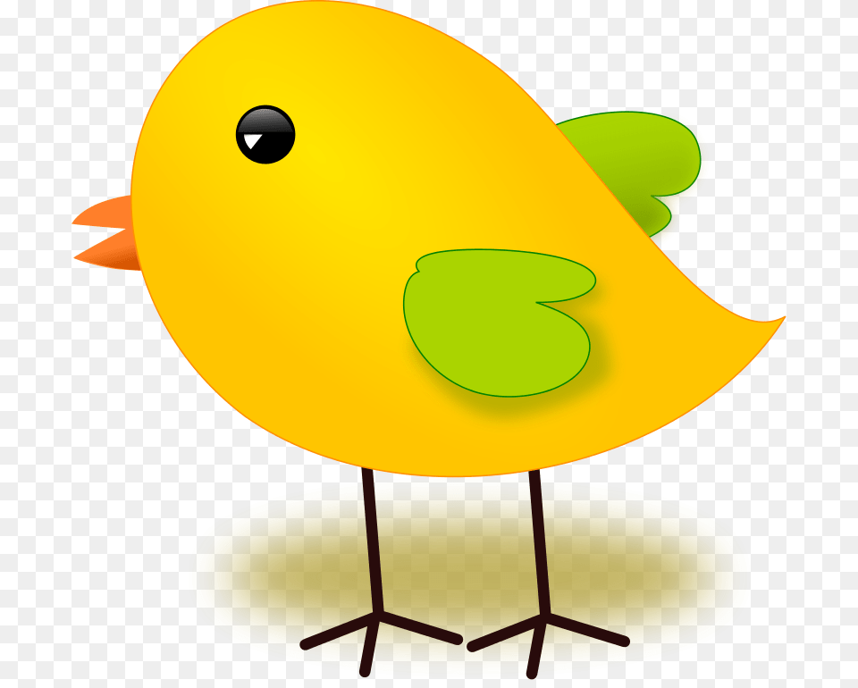 Spring Vocabulary With Fun, Animal, Bird Png Image