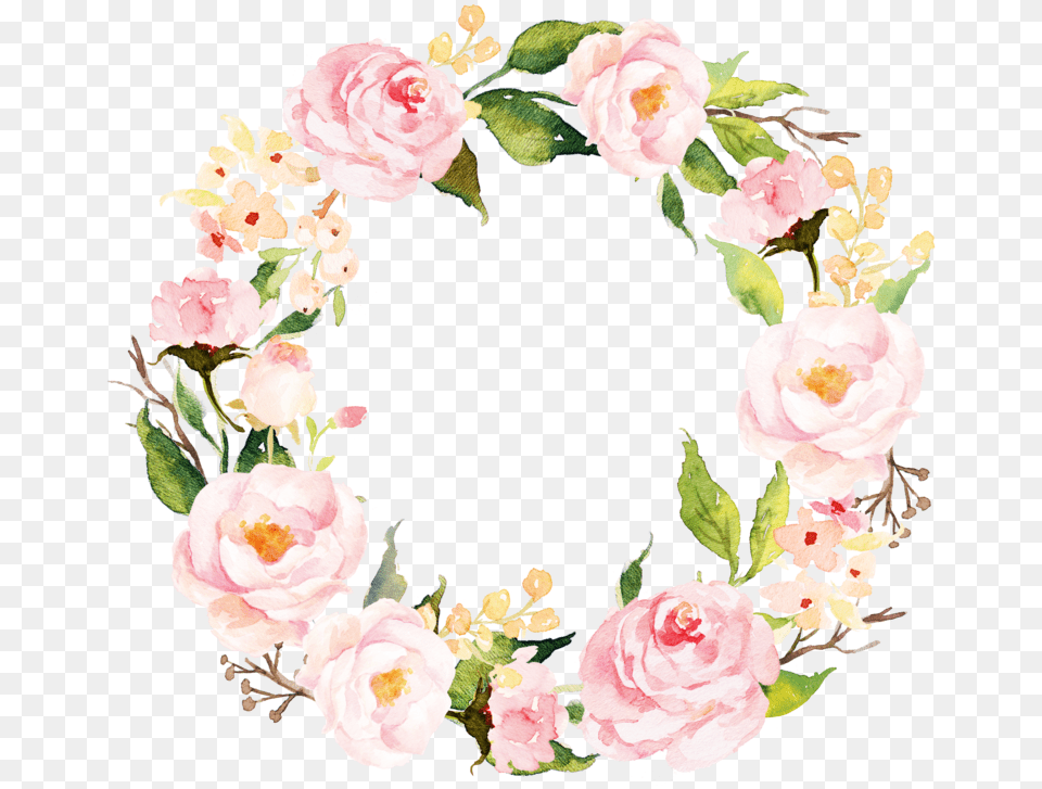 Spring Wreath Flower, Plant, Rose, Art Free Transparent Png