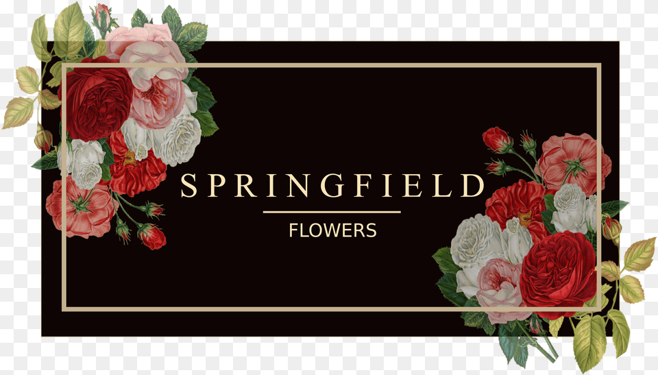 Springfield Flowers Garden Roses, Art, Plant, Pattern, Rose Png