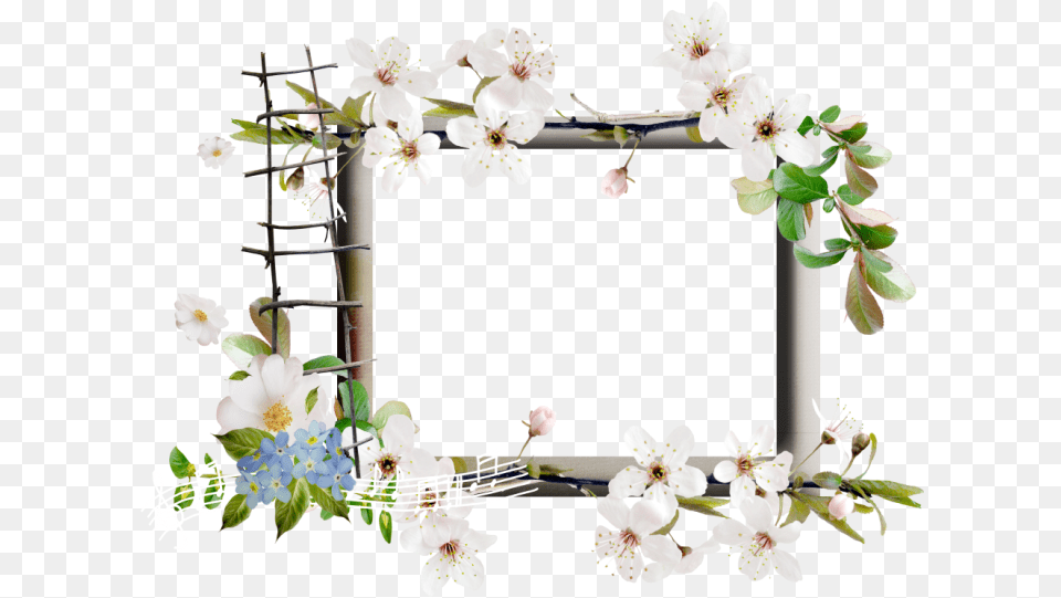 Springtime Frames Flower, Plant, Anther, Flower Arrangement Free Transparent Png