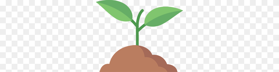 Sprout, Leaf, Plant, Green Free Png