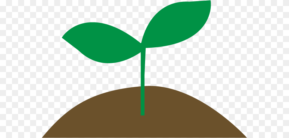 Sprout, Leaf, Plant Free Transparent Png