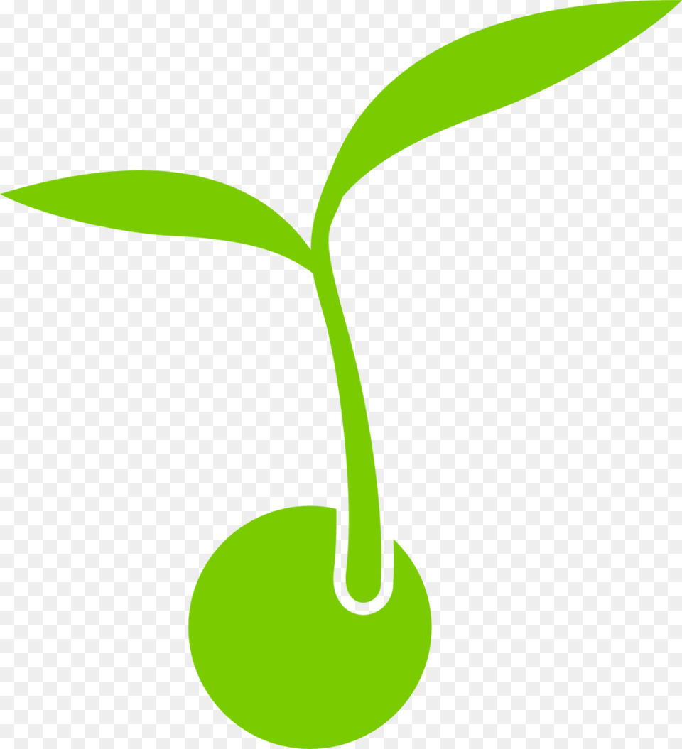 Sprout, Food, Fruit, Plant, Produce Free Png Download