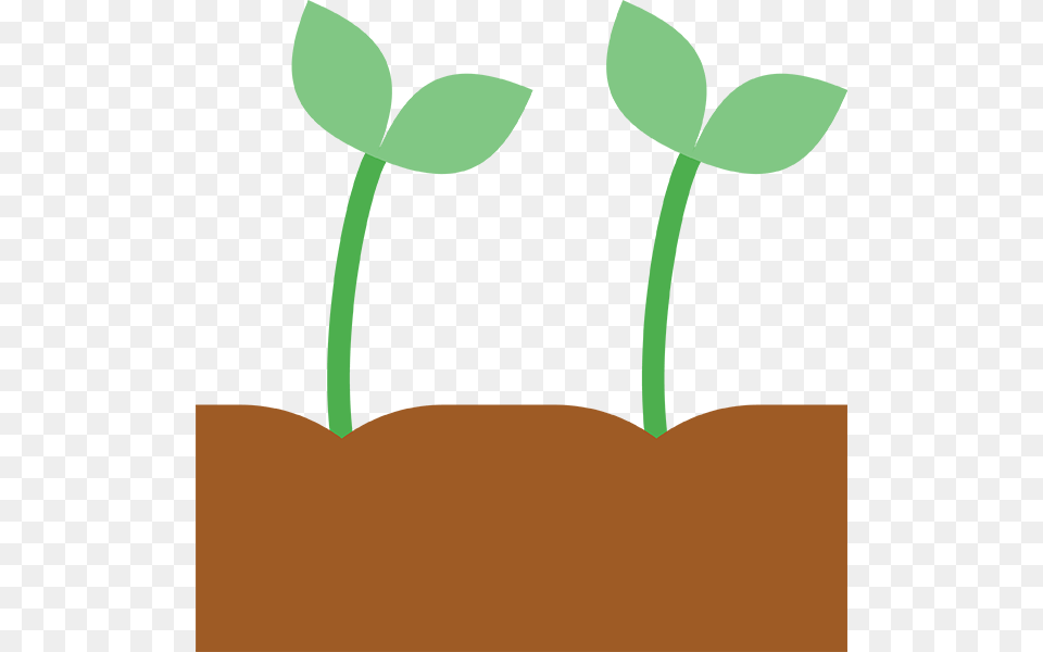 Sprout, Leaf, Plant Png Image