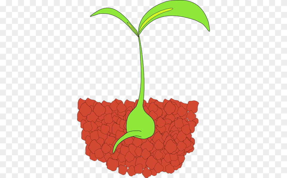 Sprout Clipart, Leaf, Plant, Food, Fruit Png