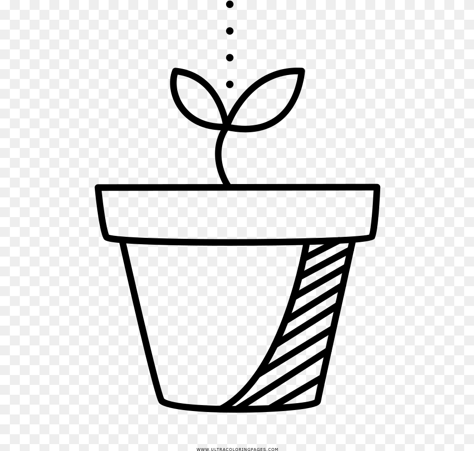 Sprout Coloring, Gray Free Transparent Png