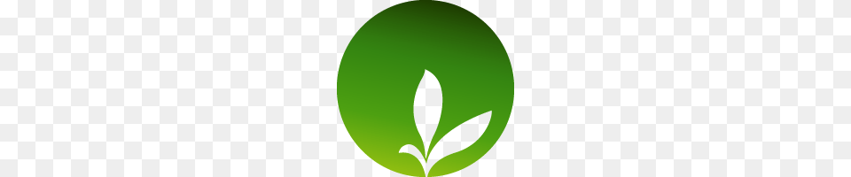 Sprout Plugins For Craft Cms, Green, Herbal, Herbs, Leaf Png