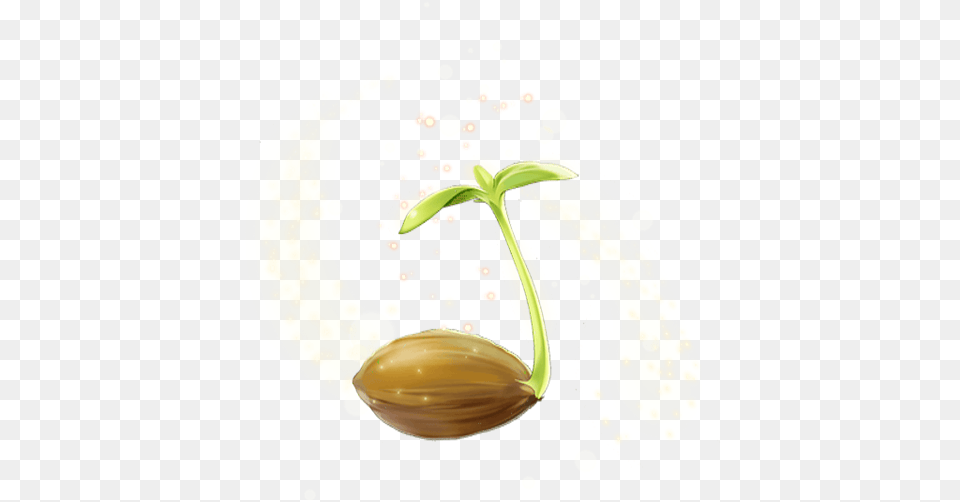 Sprout Transparent, Cutlery, Spoon, Food, Produce Png Image