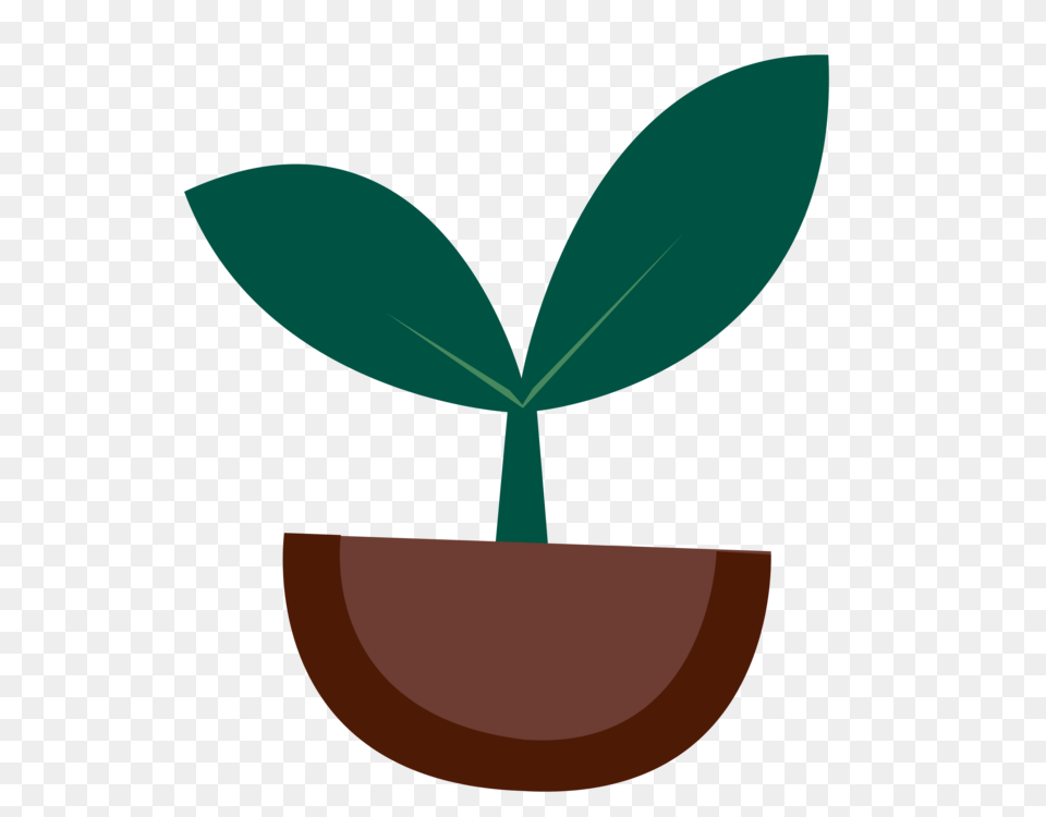 Sprouting Seedling, Leaf, Plant, Potted Plant, Astronomy Free Png Download