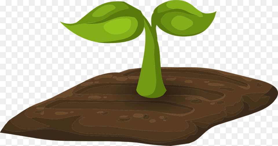 Sprouts Plants Tiny Free Picture Soil Clipart Transparent, Plant, Sprout, Leaf Png Image