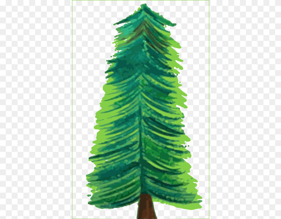 Spruce Christmas Tree Computer Icons Graphics Software, Plant, Leaf, Fir, Person Png