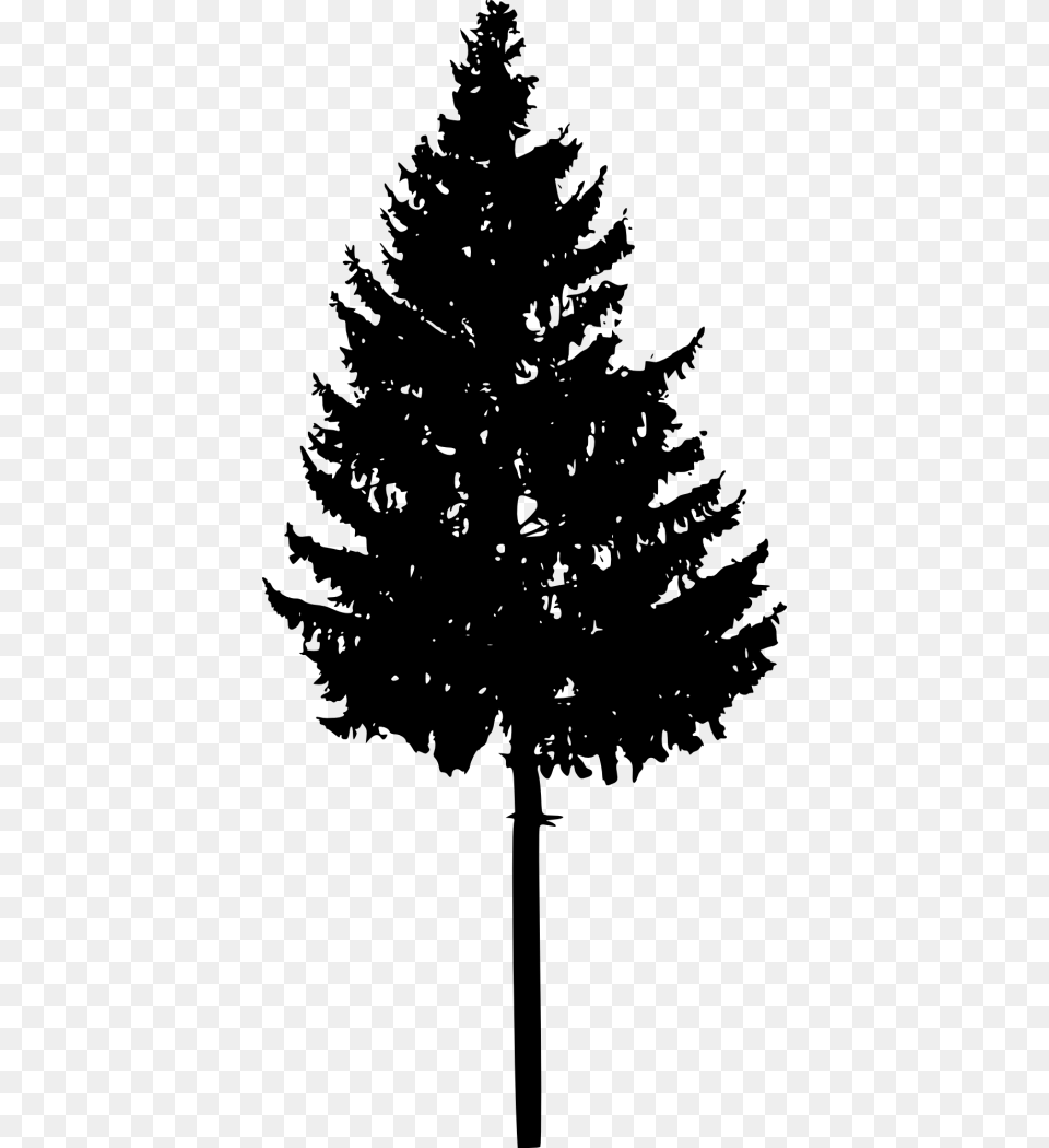 Spruce Fir Christmas Tree Silhouette Portable Network Graphics, Pine, Plant, Conifer Png Image