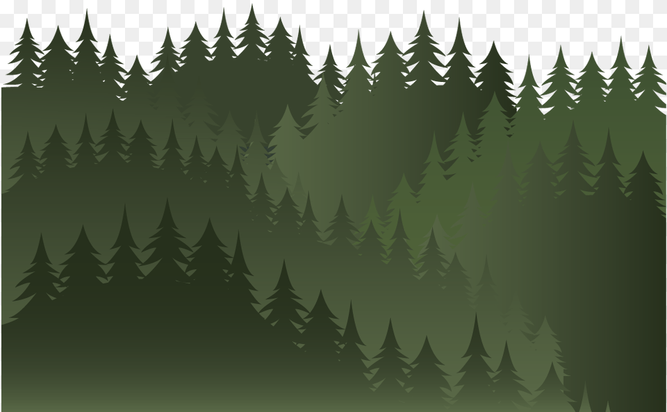 Spruce Fir Forest, Green, Tree, Plant, Vegetation Png Image