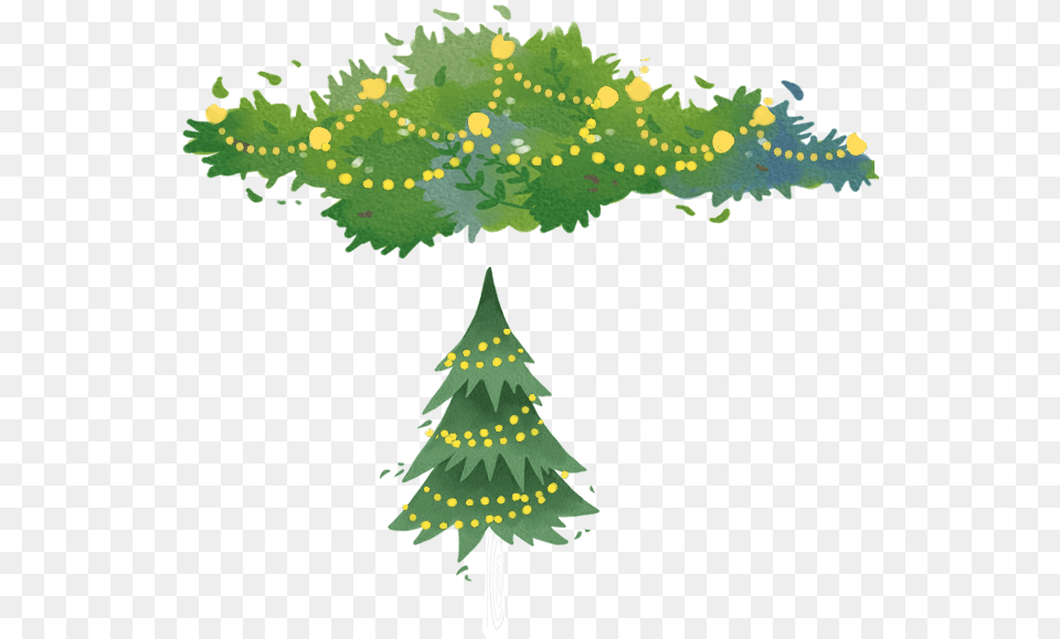 Spruce Fir Tree Christmas Pine Download Image Illustration, Plant, Christmas Decorations, Festival, Christmas Tree Free Transparent Png