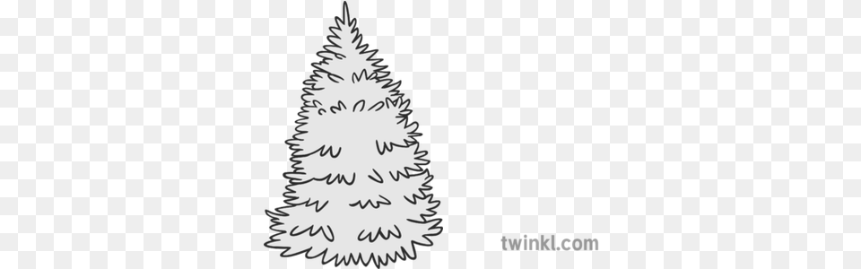 Spruce Tree Black And White Illustration Twinkl Christmas Tree, Plant, Christmas Decorations, Festival, Christmas Tree Free Png