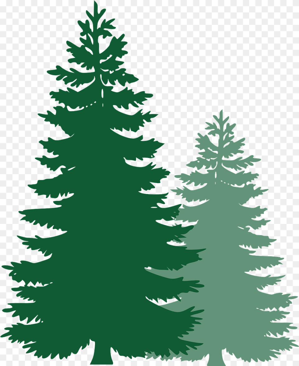 Spruce Trees Evergreen Tree Pine Tree Clip Art, Fir, Plant, Conifer, Face Png Image