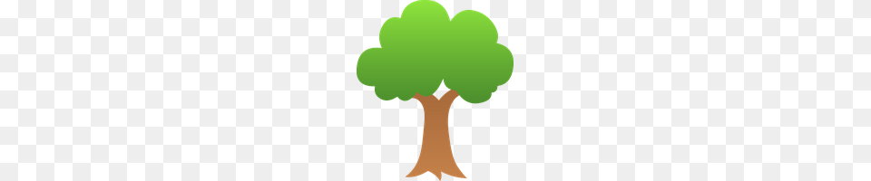 Spruces Icon And Clipart Freepngclipart, Green, Plant, Tree, Potted Plant Png