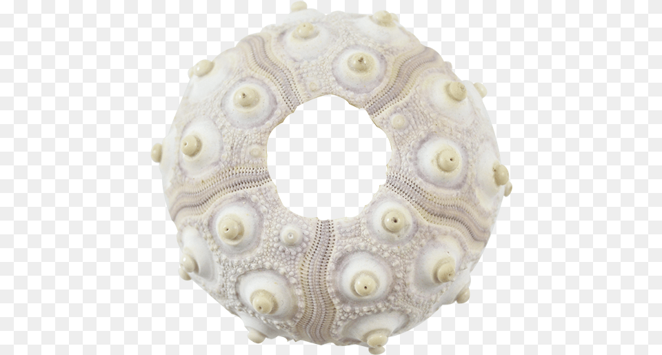 Sputnik Sea Urchin 2 2 Crochet, Accessories, Jewelry, Animal, Lizard Free Transparent Png