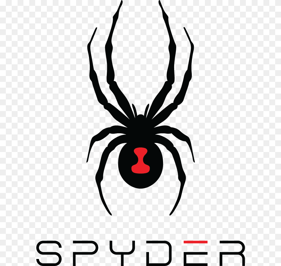 Spyder Ski, Animal, Invertebrate, Spider, Black Widow Free Transparent Png