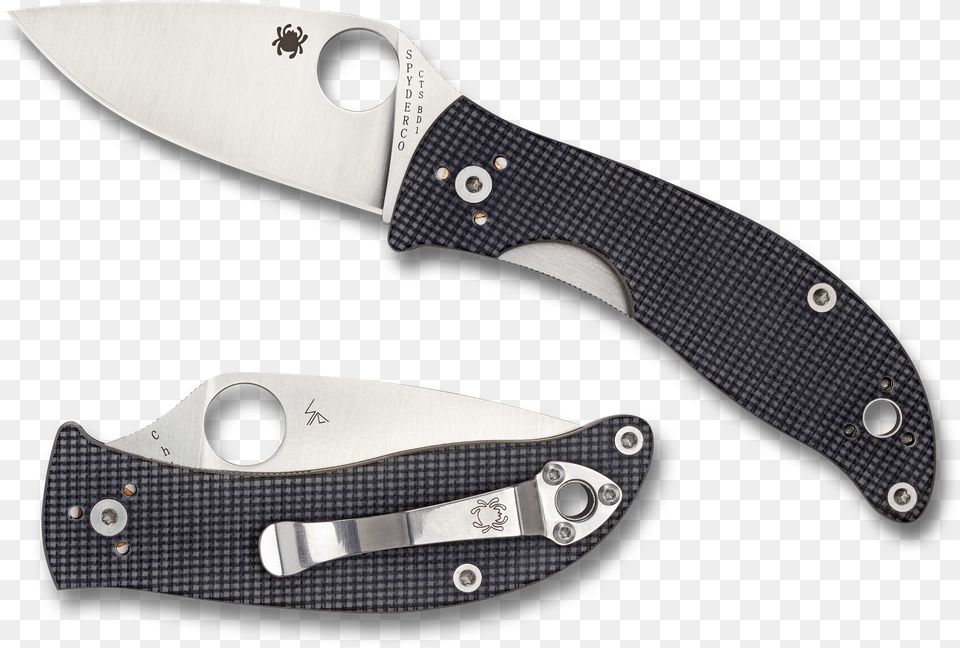 Spyderco Spy C222gpyg Alcyone 35in Gry Slv Free Png