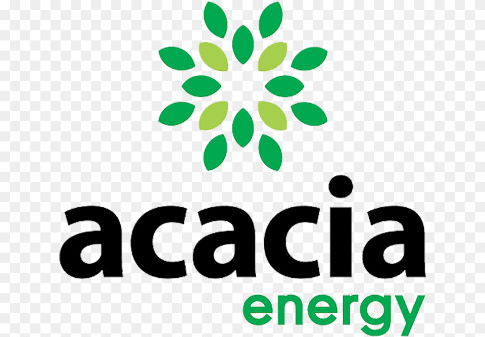 Sq Acacia Acacia Energy, Art, Floral Design, Graphics, Green Png Image