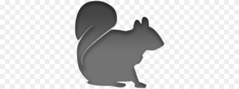 Sqrl For Iphone Fox Squirrel, Silhouette, Animal, Mammal, Rodent Free Transparent Png