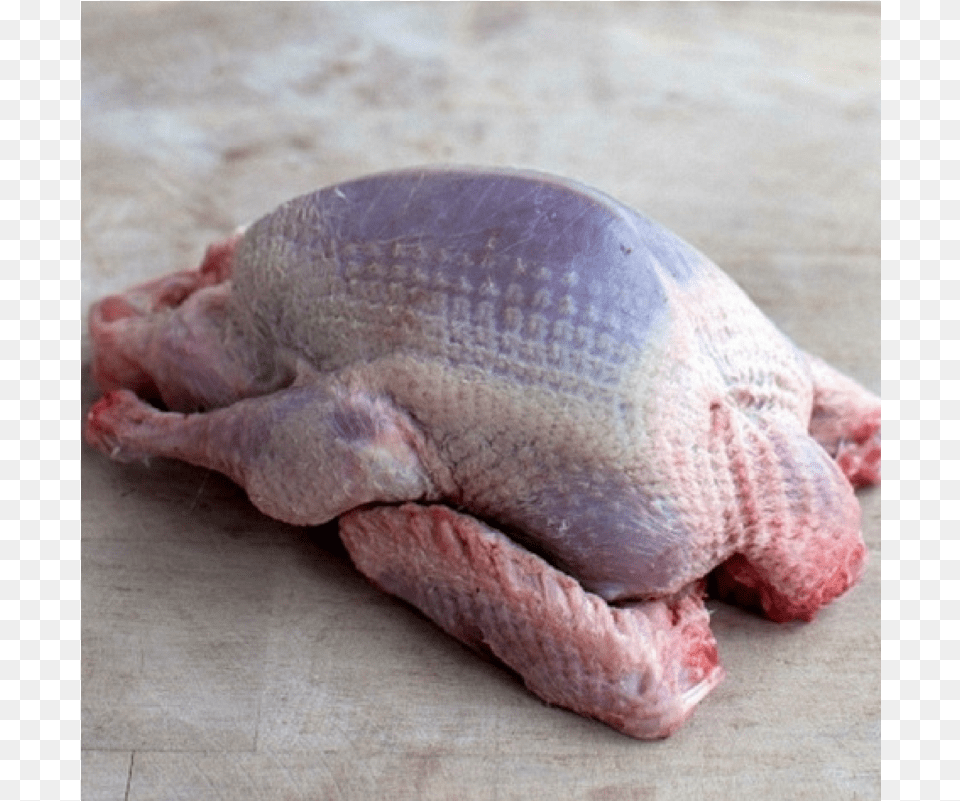 Squab Pigeon Whole 320 380g France Guinea Hen Meat Color, Beef, Food, Pork, Animal Free Transparent Png