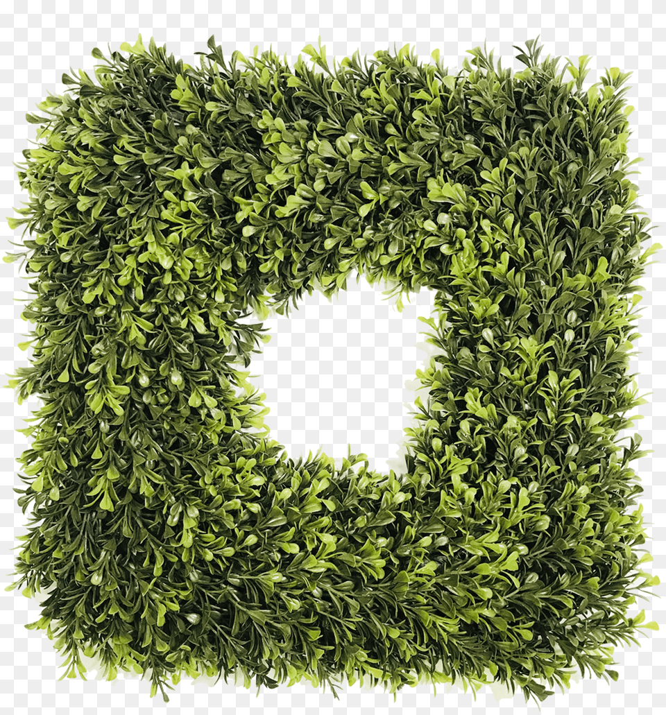 Square Artificial Spring Boxwood Wreath Circle, Plant Png