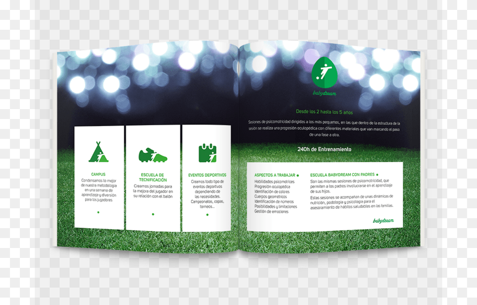 Square Brochure 03 Big Flyer, Advertisement, Poster, Business Card, Paper Png Image