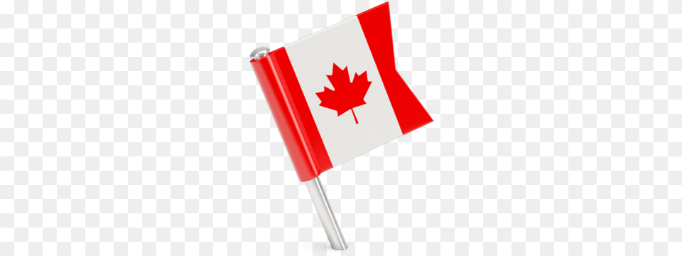 Square Flag Pin Canada Flag Icon Pin, Leaf, Plant Free Png