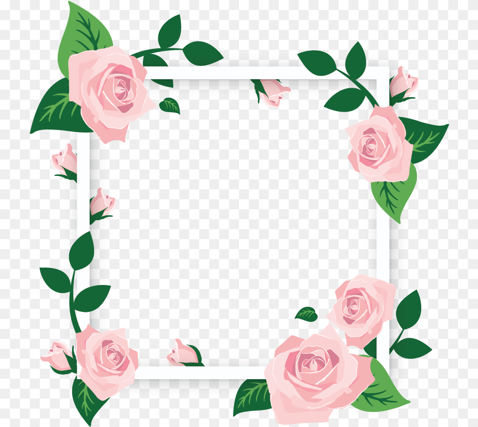 Square Flower Frames Transparent Background Flower Frame, Plant, Rose, Art Free Png